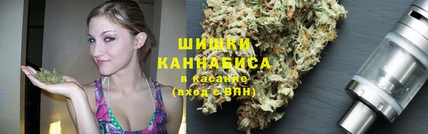 винт Аша