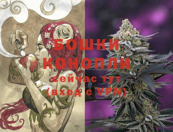 индика Кинешма