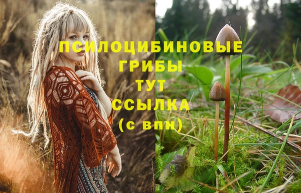 амф Ахтубинск