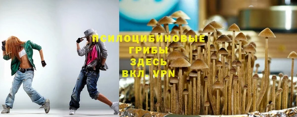 индика Кинешма