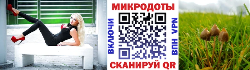 Галлюциногенные грибы мицелий  Ковдор 